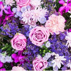 Meet your Posher, Leann